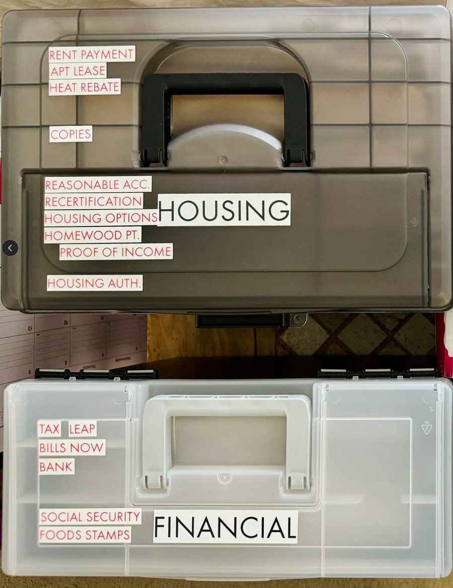 Labeled Housing and Financial file organizer boxes created during an Impactful Organizing session